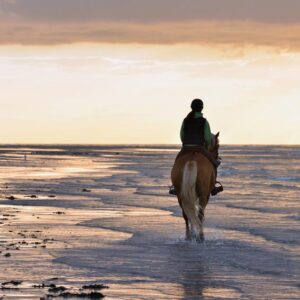 Reiten am Meer